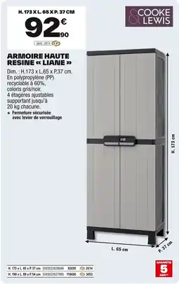 Brico Dépôt COOKE & LEWIS Armoire haute resine liane offre