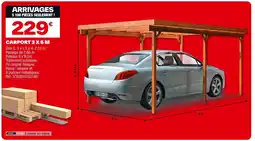Brico Dépôt Carport 3x5m offre
