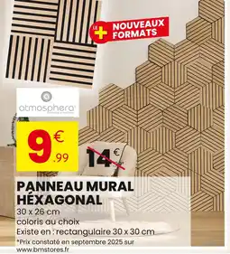 Stokomani ATMOSPHERA Panneau mural hexagonal offre