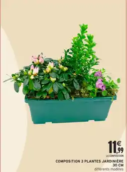 Intermarché Hyper Composition 3 plantes jardinière 30 cm offre