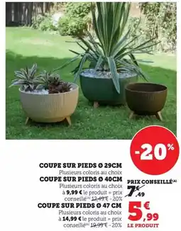 Hyper U Coupe sur pieds 29cm offre