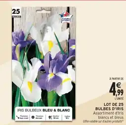 Intermarché Hyper Lot de 25 bulbes d'iris offre
