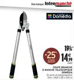 Intermarché Hyper DOMÉDIA Coupe branche à manche télescopique offre