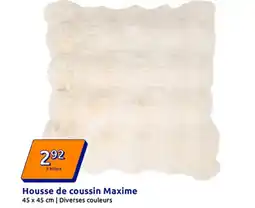 Action Housse de coussin Maxime offre