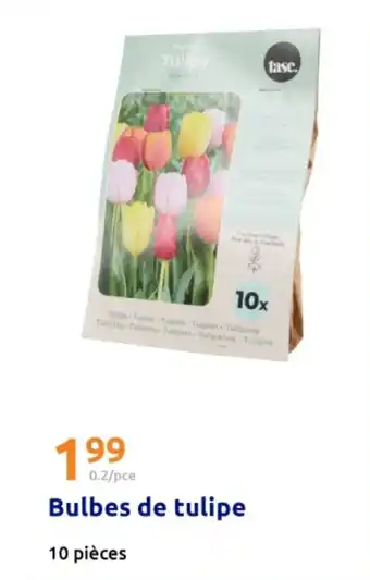 Action Bulbes de tulipe offre