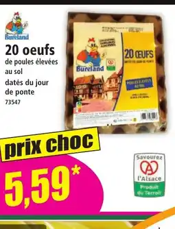 Norma 20 oeufs offre