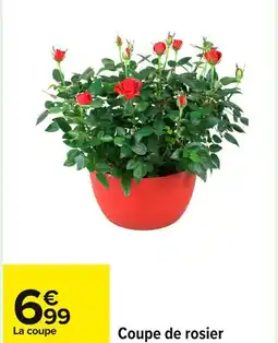 Carrefour Coupe de rosier offre