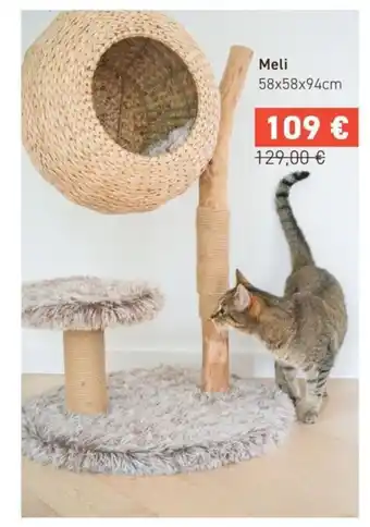 Tom&Co Meli offre
