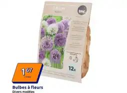 Action Bulbes à fleurs offre