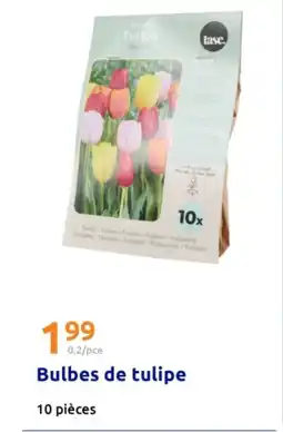 Action Bulbes de tulipe offre
