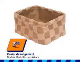 Action Panier de rangement offre