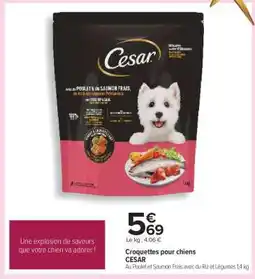 Carrefour Croquettes pour chiens CESAR offre