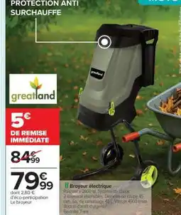 Carrefour Broyeur électrique offre