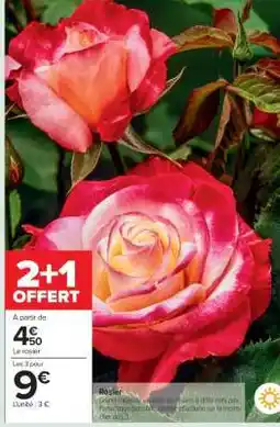 Carrefour Rosier offre