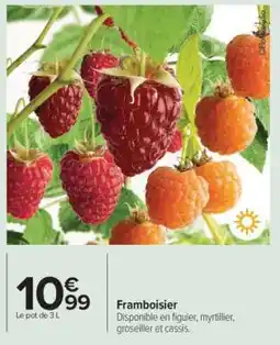 Carrefour Framboisier offre