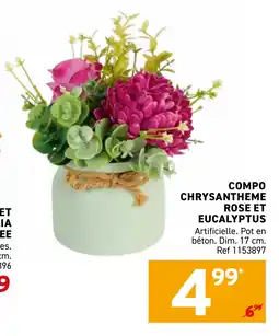 Trafic Compo chrysantheme rose et eucalyptus offre