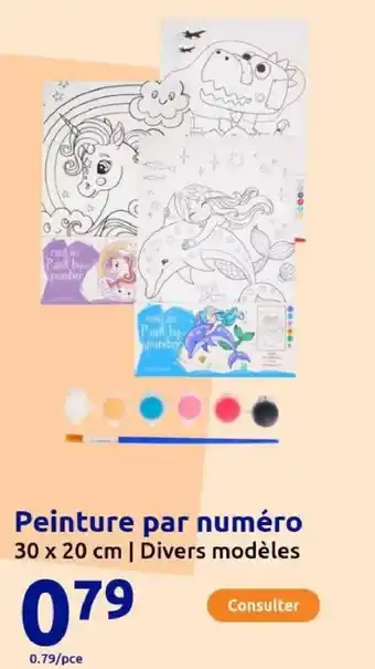 Action Peinture par numéro 30 x 20 cm offre