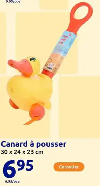 Action Canard à pousser offre