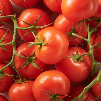 Carrefour Market Tomate ronde grappe offre