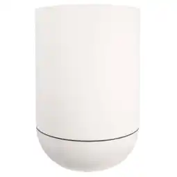 Carrefour Pot granit tulipe offre