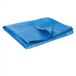 Carrefour COGEX Bâche protection bleue 2 x 3 m offre