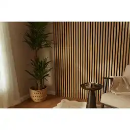 Carrefour Set de 2 panneaux acoustiques mural offre