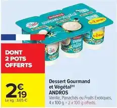 Carrefour Andros - dessert gourmand et végétal offre