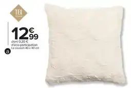 Carrefour Tex - coussin offre