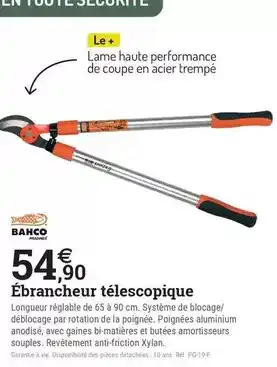 Espace emeraude Bahco - ébrancheur télescopique offre