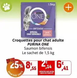 Coccinelle Supermarché Purina - croquettes pour chat adulte one offre