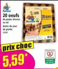 Norma Bureland - 20 oeufs de poules élevées au sol datés du jour de ponte offre