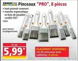 Norma Pinceaux pro offre