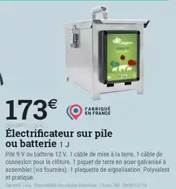 Espace emeraude Electrificateur sur pile ou batterie offre