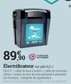 Espace emeraude Electrificateur sur pile 0,2 j offre