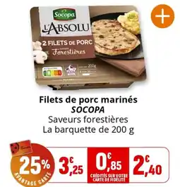 Coccinelle Supermarché Filets de porc marinés SOCOPA offre