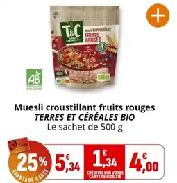 Coccinelle Supermarché Muesli croustillant fruits rouges TERRES ET CÉRÉALES BIO offre