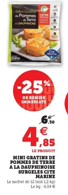 Super U Mini gratins de pommes de terre a la Dauphinoise offre