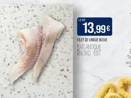Match Filet de Lingue Bleue offre