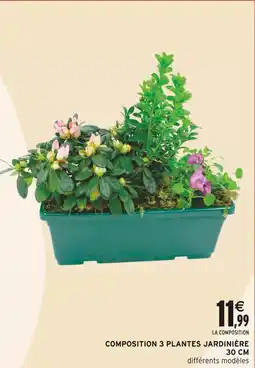 Intermarché Composition 3 plantes jardinière 30 cm offre