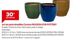 Truffaut 30% de remise sur les pots émaillés Corsica PASSION FOR POTTERY offre