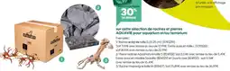 Truffaut Reptiles Planet Racine araignée taille S offre