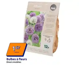 Action Mix - bulbes à fleurs offre