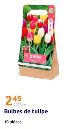 Action Triumph - bulbes de tulipe offre