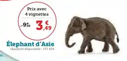 Super U Élephant d'asie offre