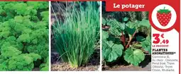 Super U Plantes aromatiques offre
