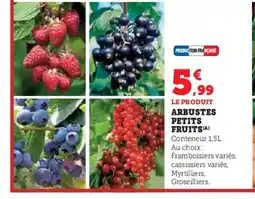 Super U Arbustes petits fruits offre