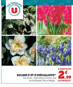 Super U Bulbes u et u spécialiste offre