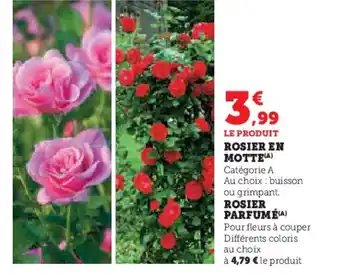 Super U Rosier en motte offre