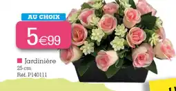 Kandy Jardinière offre