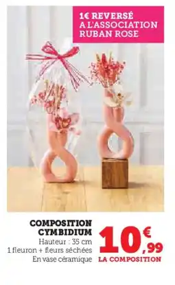 Hyper U Composition cymbidium offre